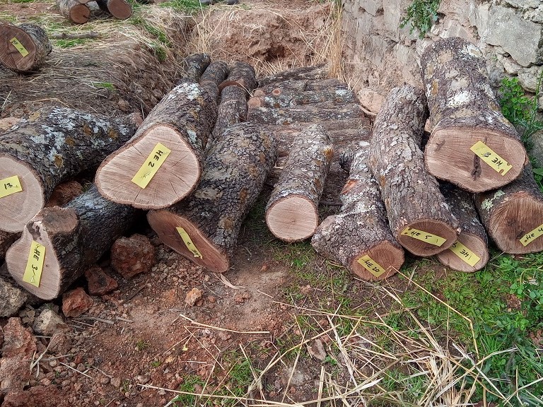 Etiquetado de troncos